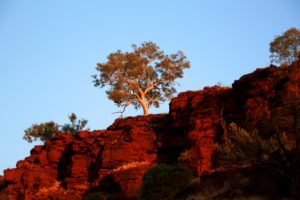 Special3_DE_Australien_Bild1
