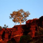 Special3_DE_Australien_Bild1