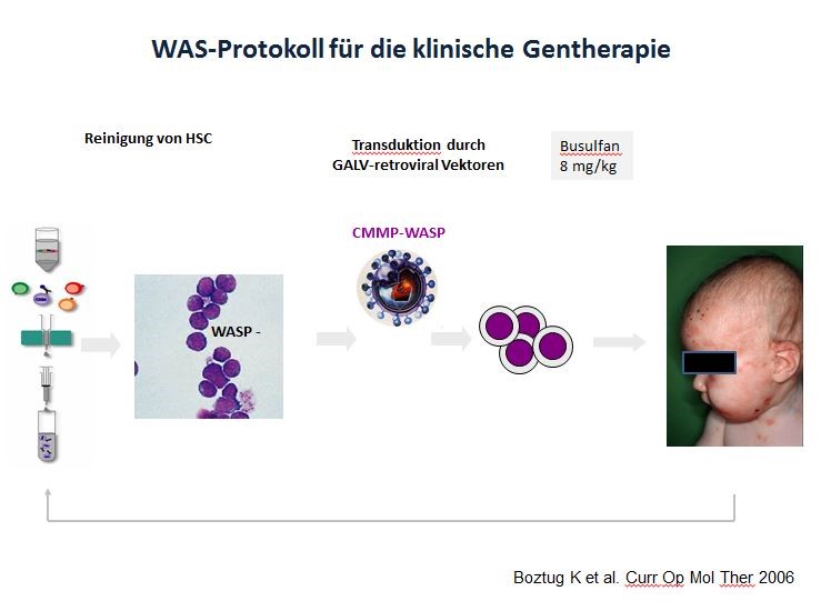 WAS Protokoll