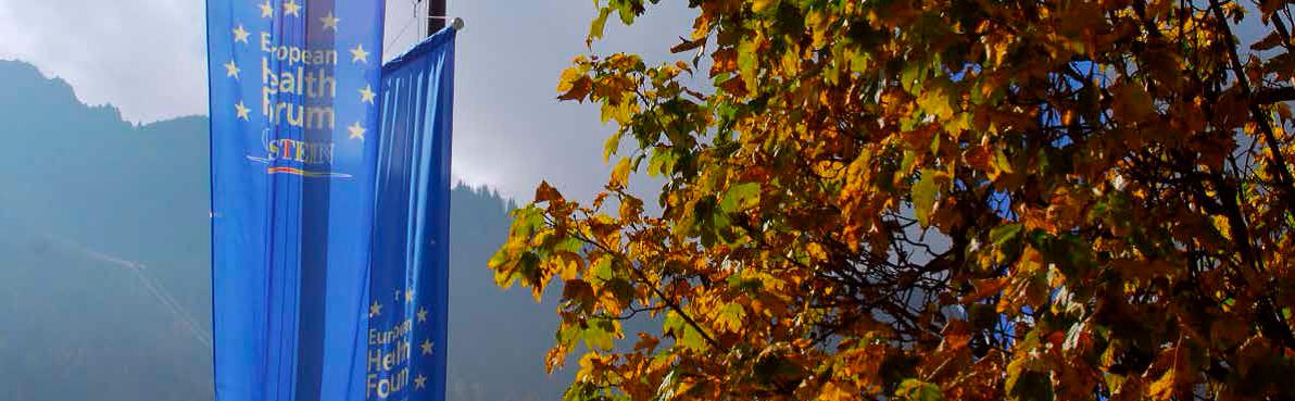 EHFG-2014-banner