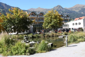 European-health-forum-gastein