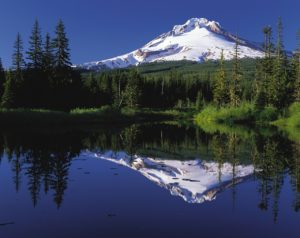 reflection