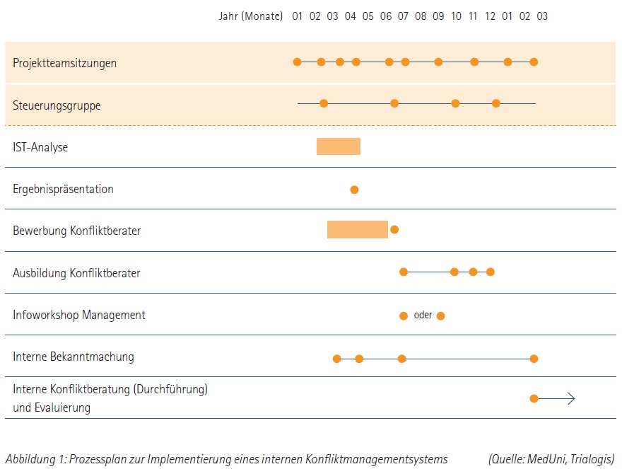 Prozessplan-zur-Implementierung-eines-internen-Konfliktmanagementsystems