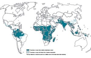 ith_malaria_map_2011