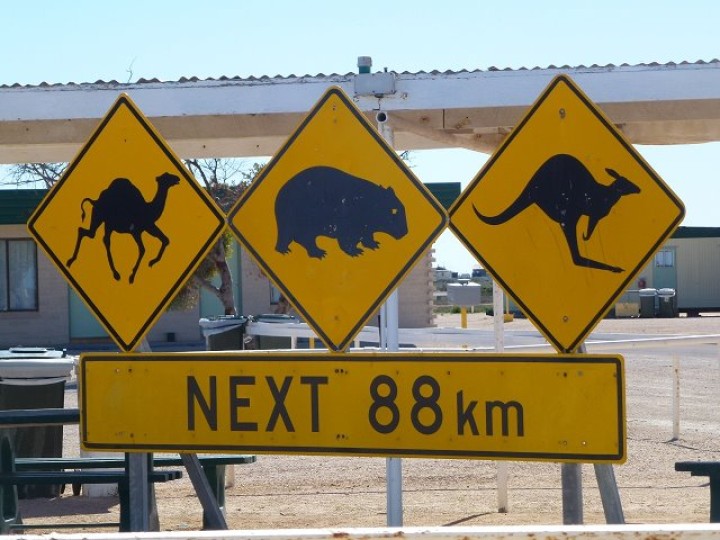 AUS_25