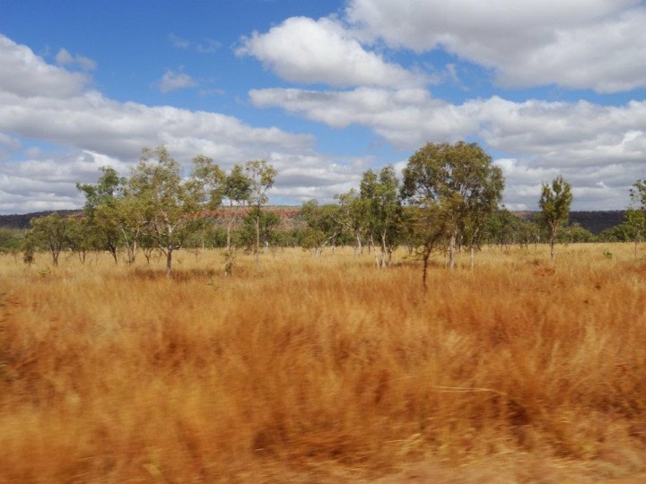 AUS_6_Outback