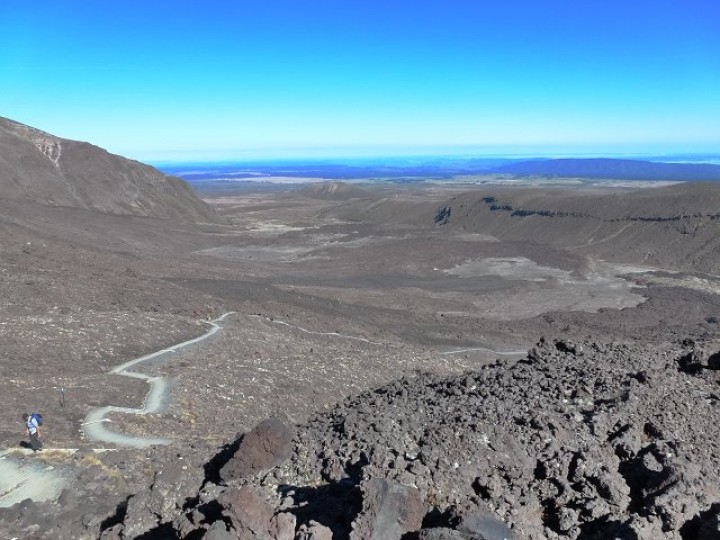 NZ_1