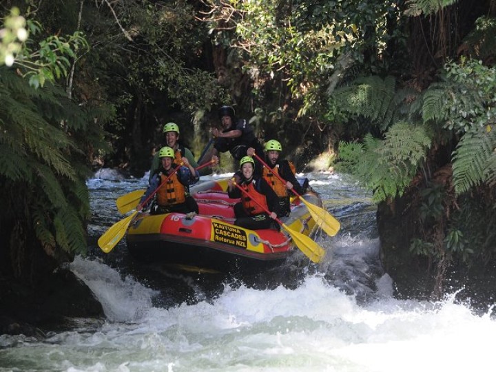 NZ_3
